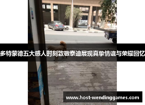 多特蒙德五大感人时刻致敬泰迪展现真挚情谊与荣耀回忆