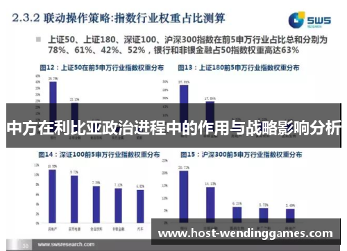 中方在利比亚政治进程中的作用与战略影响分析