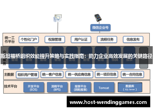 斯坦福桥组织效能提升策略与实践指南：助力企业高效发展的关键路径