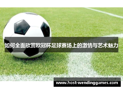 如何全面欣赏欧冠杯足球赛场上的激情与艺术魅力