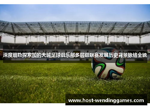 深度细致探索加的夫城足球俱乐部多层级联赛发展历史背景脉络全貌