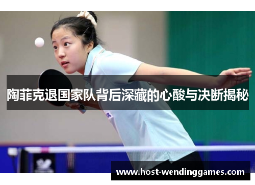 陶菲克退国家队背后深藏的心酸与决断揭秘